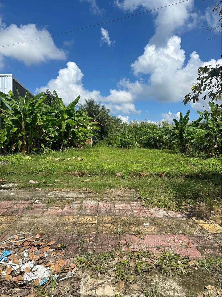 Đất nền KDC Tân Xuyên, Cà Mau 99m² giá 800 triệu - Pháp lý rõ ràng, sẵn sàng xây dựng!