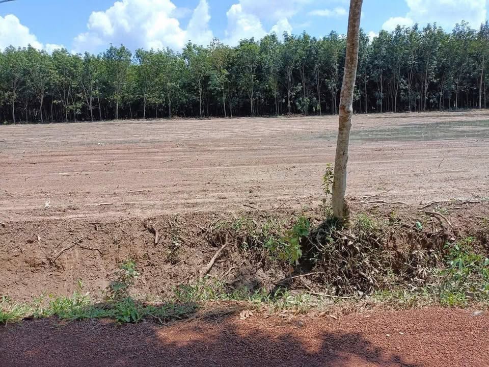 Đất nền 200m² tại Lộc Ninh, Bình Phước giá chỉ 250 triệu - Đầu tư sinh lời ngay!