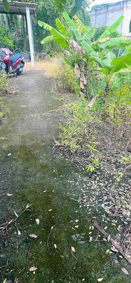 Đất nền phường Long An Tân An 116m² giá 450 triệu - Sổ đỏ chính chủ, công chứng liền tay!