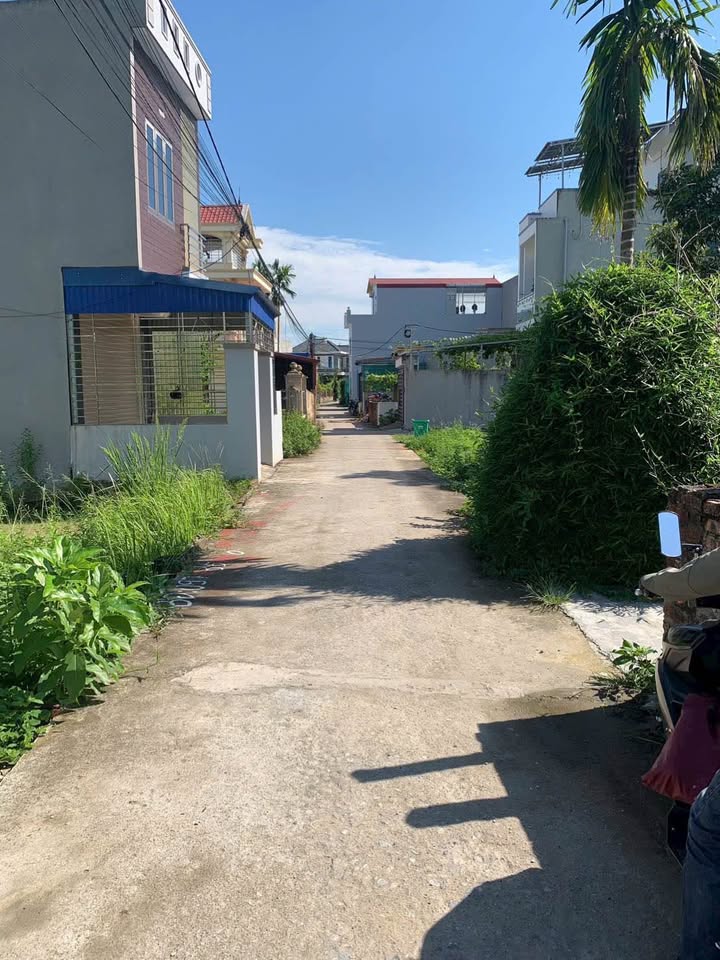 Đất Hồng Thái An Dương 52m² giá chỉ 1.1 tỷ - Ngay chợ, ô tô quay đầu!