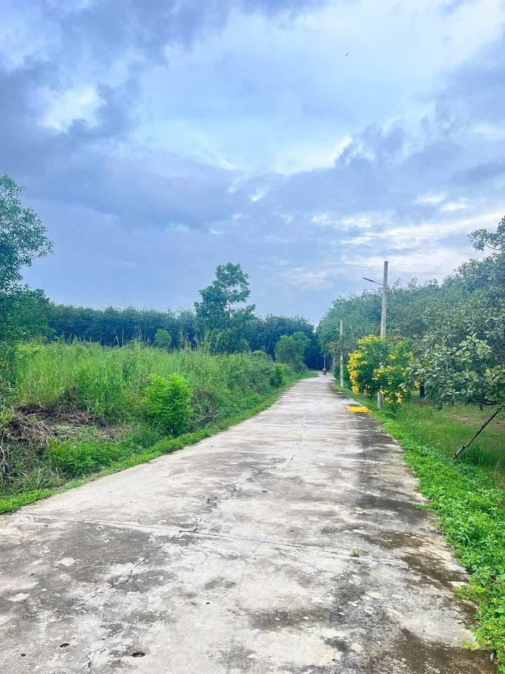 Đất nền Đồng Xoài 1000m² giá 900 triệu - Chính chủ bán gấp!