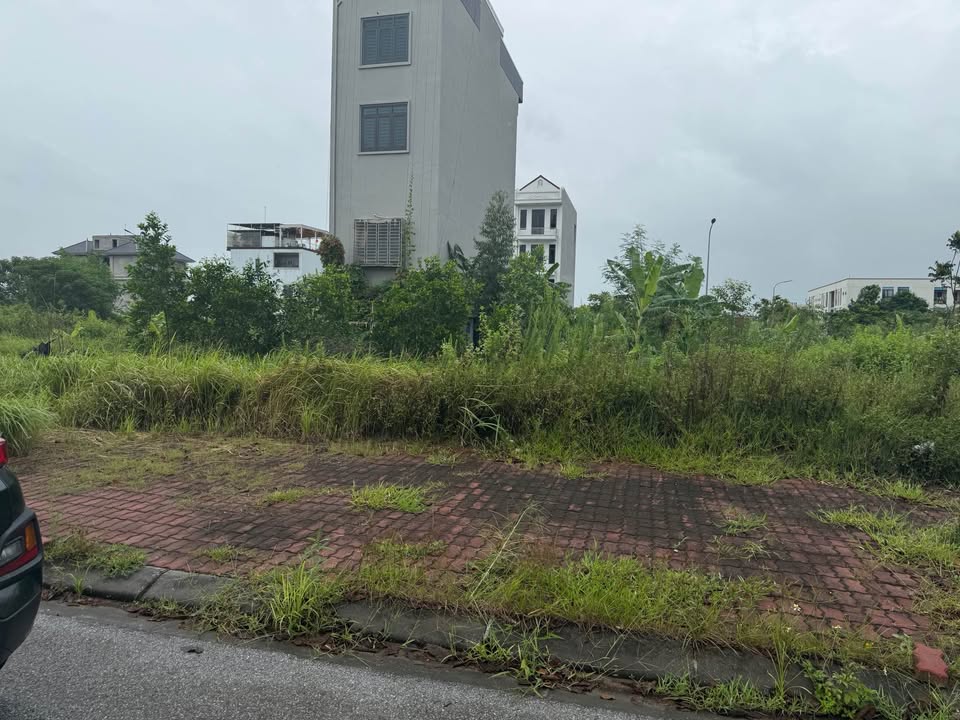 Đất đấu giá Kim Chân 90m² giá thỏa thuận - Mặt tiền 5m, vỉa hè rộng!