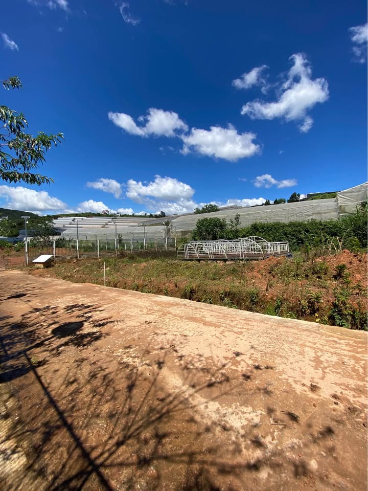 Bán đất Măng Lin, Đà Lạt 650m² giá 2.8 tỷ - Vị trí thông thoáng, view rừng thông