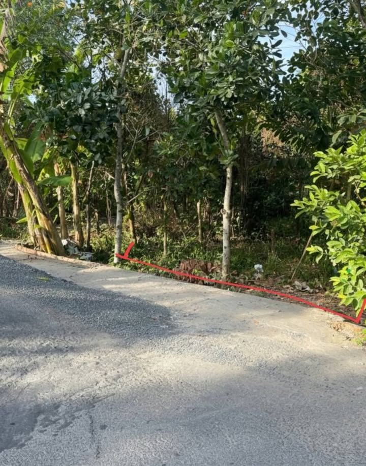 Đất nền Trường Lạc, Ô Môn, Cần Thơ 109m² - Sổ đỏ chính chủ, giá 460 triệu!