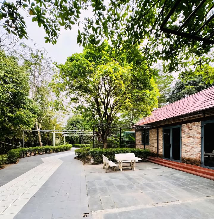 Bán nhà vườn nghỉ dưỡng 2.000m² đường Lương Ngang, Bình Chánh - Không gian yên bình gần trung tâm!