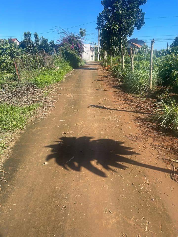 Đất thổ cư Nam Ban, Đà Lạt 406m² giá 1.1 tỷ - Cơ hội đầu tư hấp dẫn!