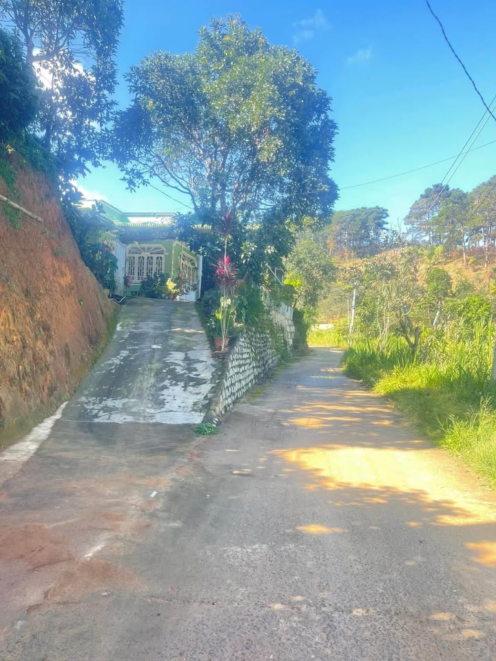 Đất vườn tại thôn Phú Thuận, Đơn Dương 1101m² giá 1.95 tỷ - Pháp lý rõ ràng, sẵn thổ cư!