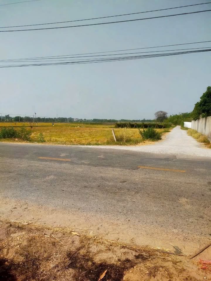 Đất vườn An Nhơn Tây Củ Chi 500m² giá 1.2 tỷ - Cơ hội đầu tư sinh lời!