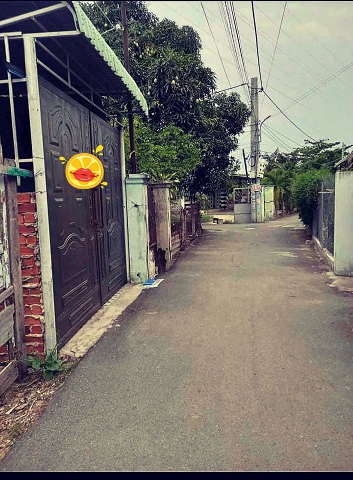 Đất thổ cư 205.6m² tại phường 12, Vũng Tàu - Giá chỉ 6.3 tỷ, thương lượng ngay!