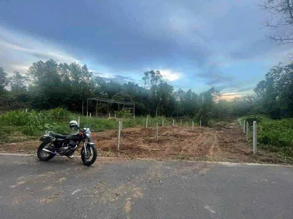 Bán lô đất 2 mặt tiền An Tây, Bến Cát 880m² giá 3.5 tỷ - Đầu tư sinh lời!