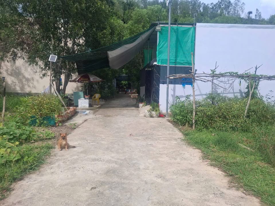 Đất thổ cư Phước Đồng, Nha Trang 82.8m² chỉ 850 triệu - Cơ hội đầu tư tuyệt vời!