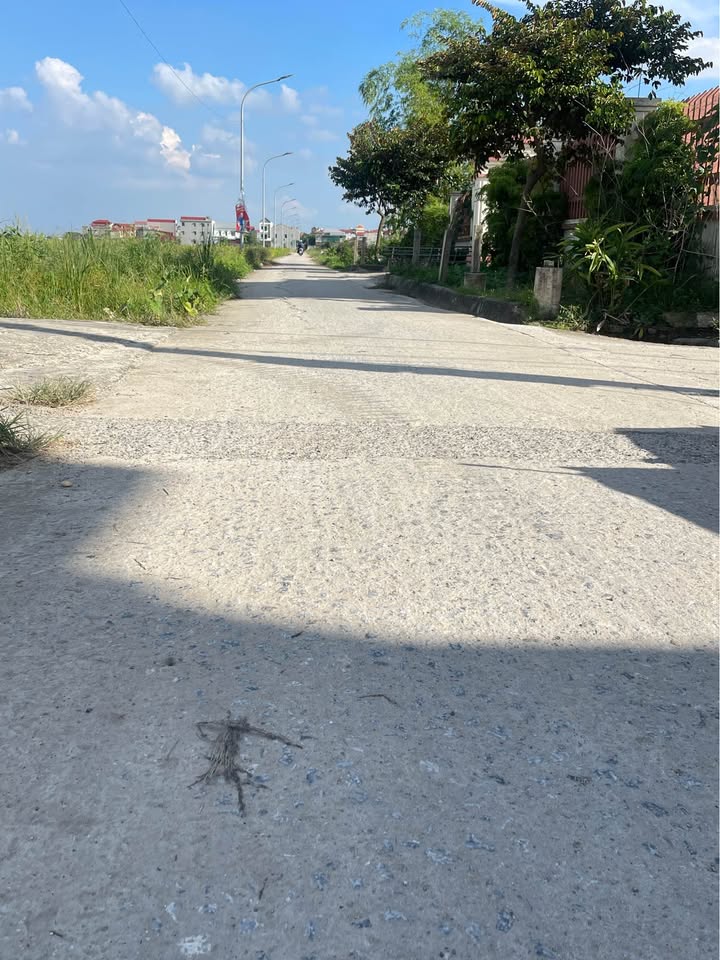 Đất thổ cư 130m² tại Phương Liễu, Quế Võ - Giá 2.5 tỷ, gần trường lái xe