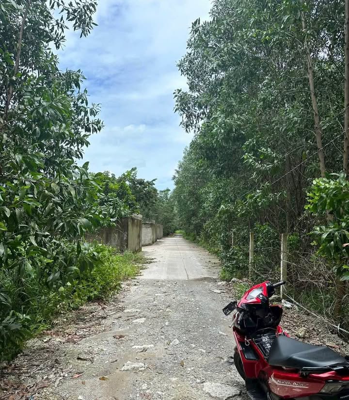 Đất sào góc 2 mặt tiền tại Thạnh Phú, Vĩnh Cửu 3.332m² giá 6.35 tỷ - Tiềm năng sinh lời cao!