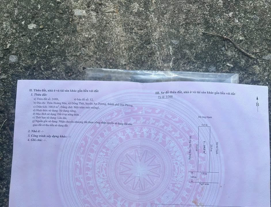 Nhà 100m² trên đường Hoàng Mai, An Dương - Vị trí đẹp, giá chỉ 2.98 tỷ!