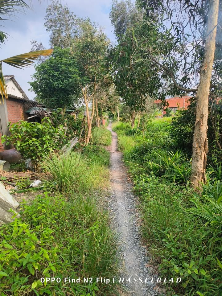 Đất thổ cư ấp 1, xã Bình Đức, huyện Bến Lức 100m² - Sổ đỏ chính chủ, giá tốt!