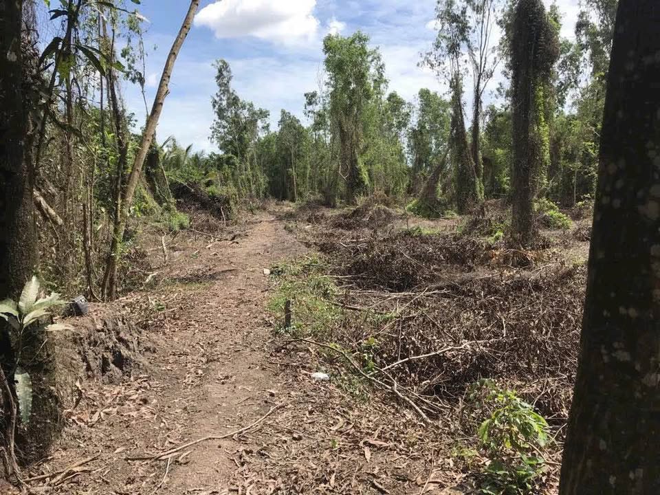 Đất vườn 5000m² tại khu phố Cư Xá, Kiên Lương - Giá chỉ 800 triệu