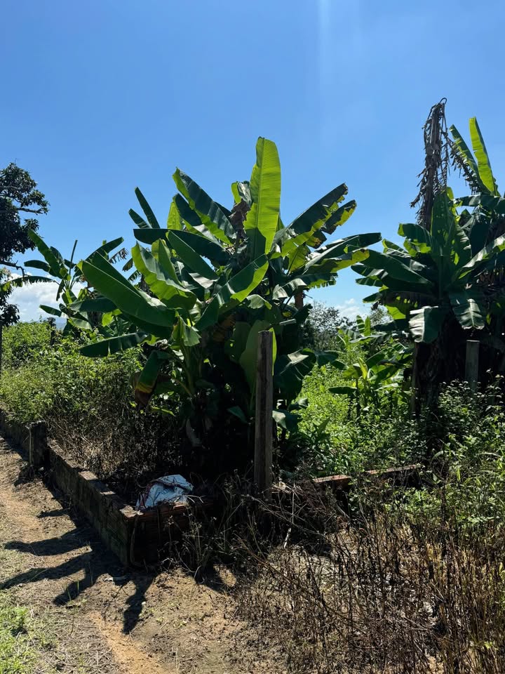 Đất nền Hẻm 123 Duy Tân, TP. Kon Tum 315m² giá 1.3 tỷ - Cơ hội đầu tư hấp dẫn!