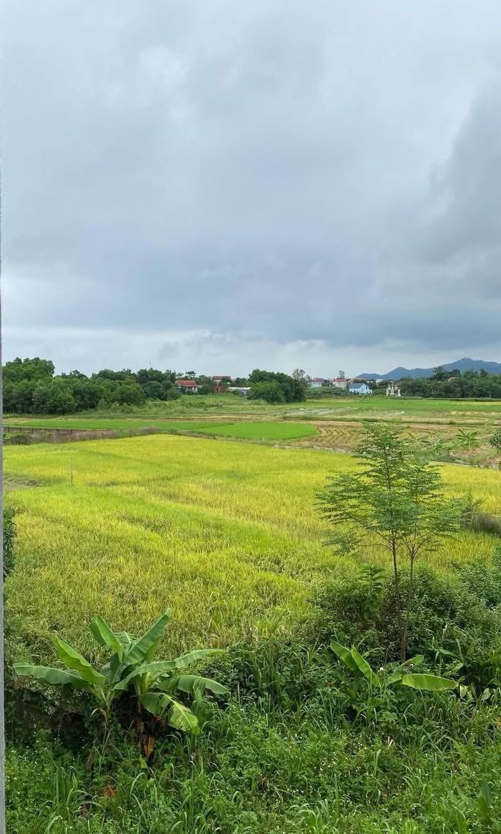 Bán nhà biệt thự thôn Phúc Xuân, Sóc Sơn 285m² giá 4 tỷ - Thiết kế hiện đại, sẵn sàng ở ngay!