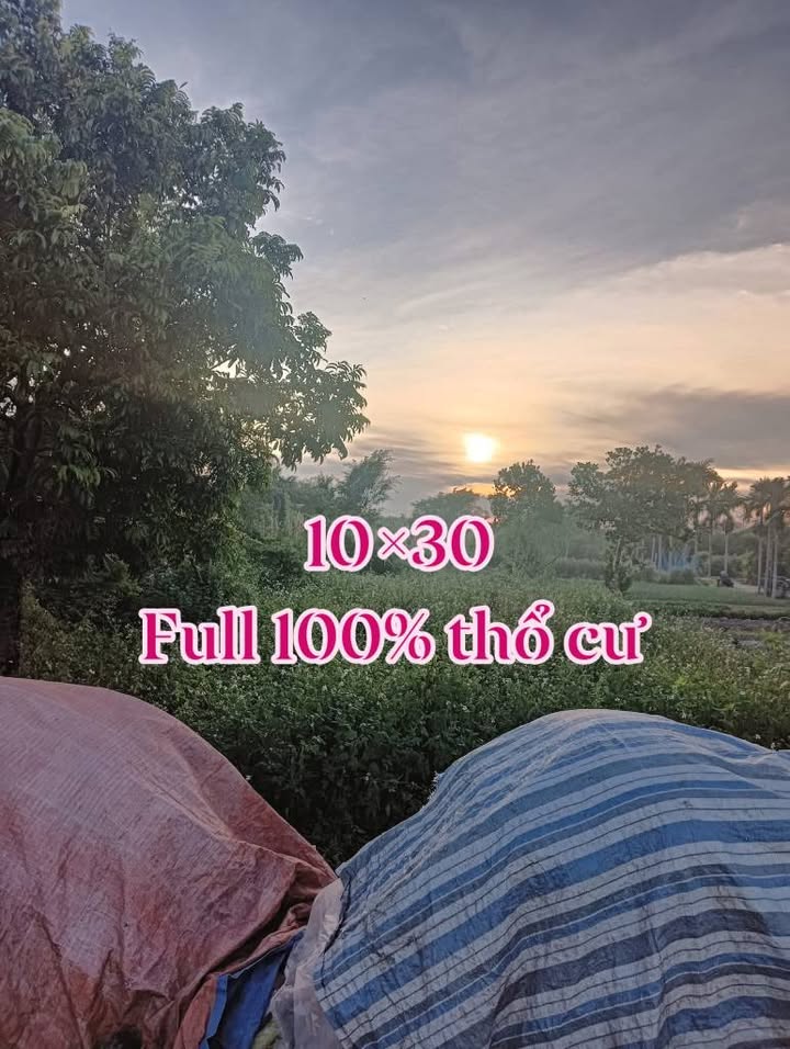 Đất thổ cư 300m² tại thị trấn Cồn - Pháp lý rõ ràng, giá mềm cho nhà đầu tư!