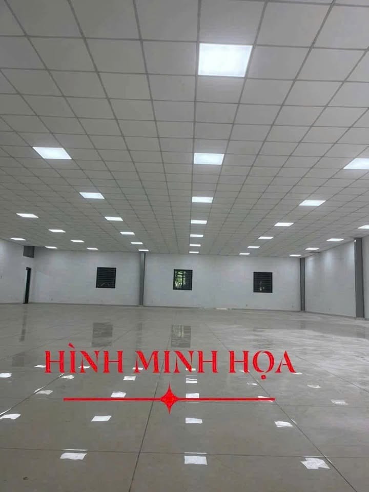 Mặt bằng nguyên căn cho thuê đường Nguyễn Công Trứ, Đà Lạt 120m² - Kinh doanh tự do chỉ 11 triệu/tháng!