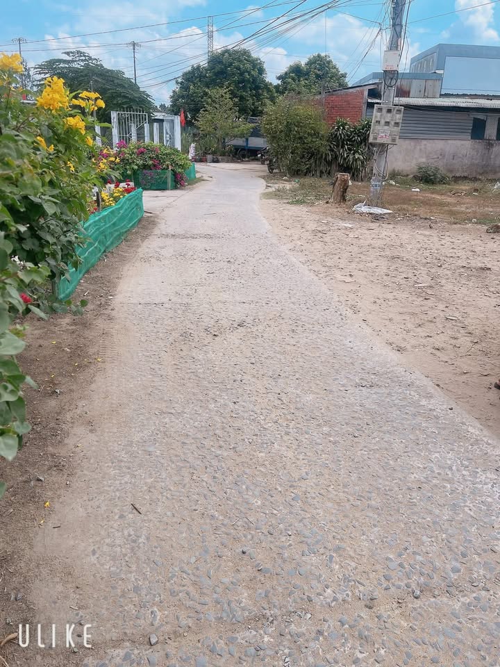 Đất thổ cư 224m² ấp Hội An, Mỏ Cày Nam giá 999 triệu - Đối diện sông mát mẻ!