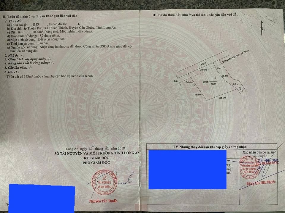 Đất mặt tiền 1000m² xã Thuận Thành, Cần Giuộc - Sổ hồng riêng, giá 11 tỷ!