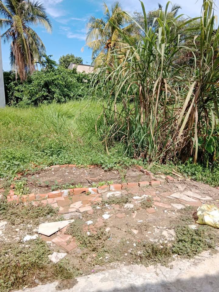 Đất thổ cư 68m² hướng Tây tại xã Trung An - Giá chỉ 500 triệu VND