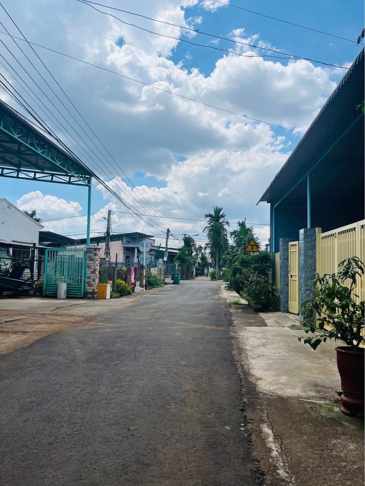 Đất thổ cư 145m² phường Tân Lập - Đầu tư sinh lời ngay!