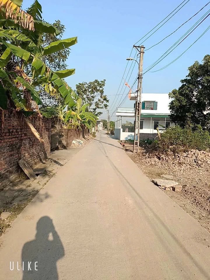 Đất nền Minh Lãng Vũ Thư 66m² giá 600 triệu - Đường ô tô thông thoáng!