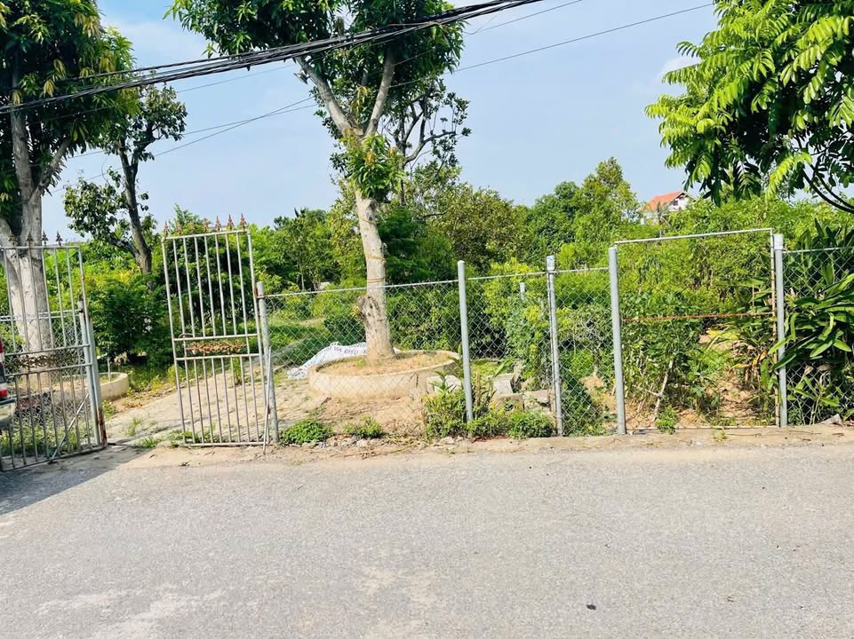 Đất mặt đường trục xã Tự Tân Vũ Thư 139m² giá 1.3 tỷ - Đầu tư sinh lời ngay!