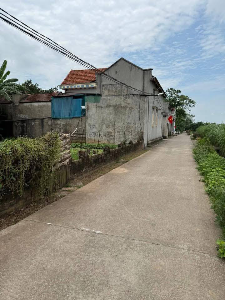 Đất nền bán đảo Minh Châu Vân Đồn 202m² - Cơ hội đầu tư vàng!