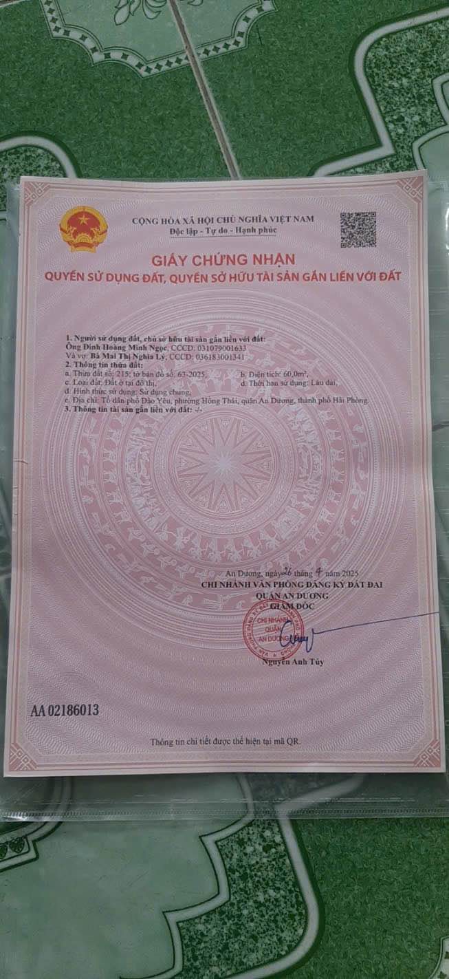 Đất nền Hồng Thái, An Dương 60m² giá 1.25 tỷ - Pháp lý rõ ràng, đầu tư sinh lời!