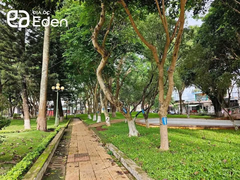 Nhà mặt tiền Hoàng Văn Thụ, Buôn Ma Thuột, 120m² giá 10.7 tỷ - Đầu tư sinh lời ngay!