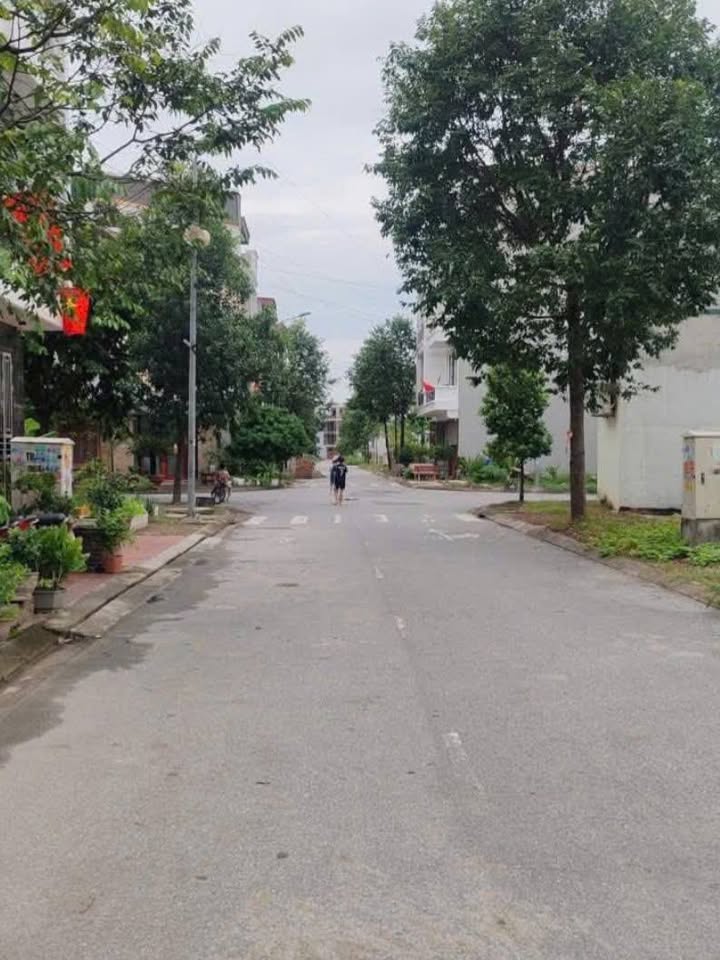 Đất nền dự án giãn dân đường Trần Đăng Tuyển, Vũ Ninh, Bắc Ninh 74m² chỉ 6 tỷ - Đầu tư lý tưởng!