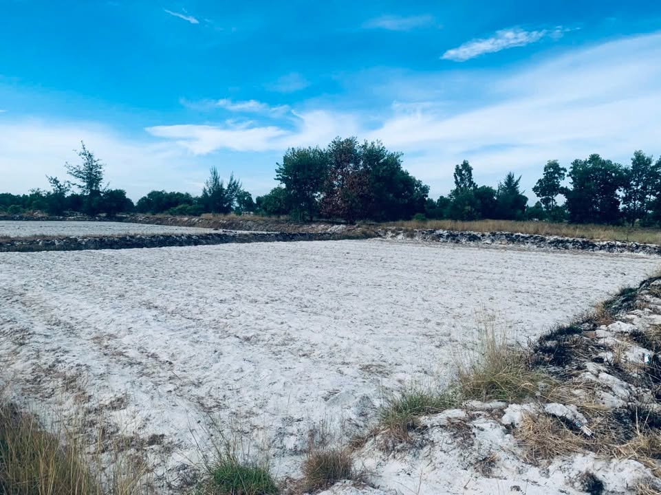 Đất Farm Bình Phục Thăng Bình 790m² giá 100 triệu - Cơ hội đầu tư tuyệt vời!