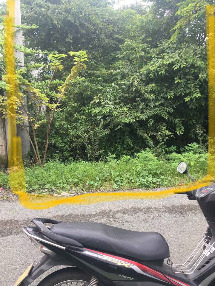 Đất thổ cư 155m² tại Trung Lập Hạ, Củ Chi - Giá chỉ 2.55 tỷ, cơ hội đầu tư tuyệt vời!