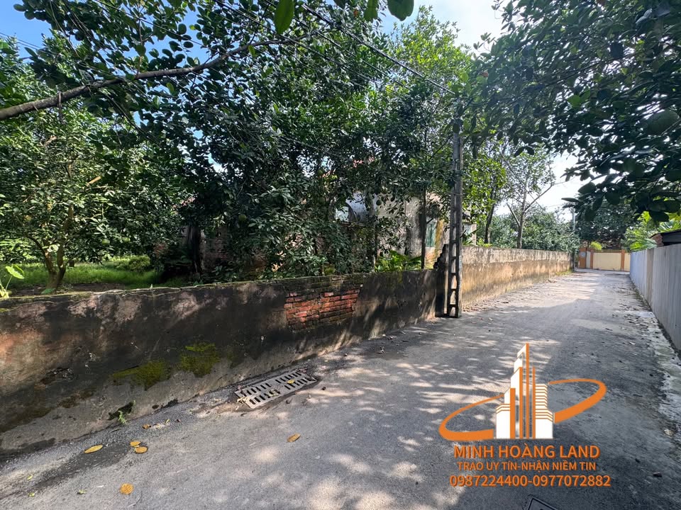 Đất nền Vân Nam, Phúc Thọ 54m² giá 1.62 tỷ - Đầu tư sinh lời ngay!