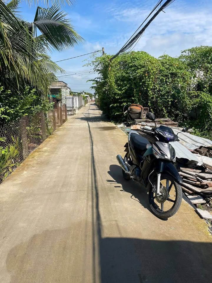 Đất thổ cư 116m² tại Bình Đức, Tân Trụ - Giá chỉ 590 triệu, sổ hồng chính chủ!