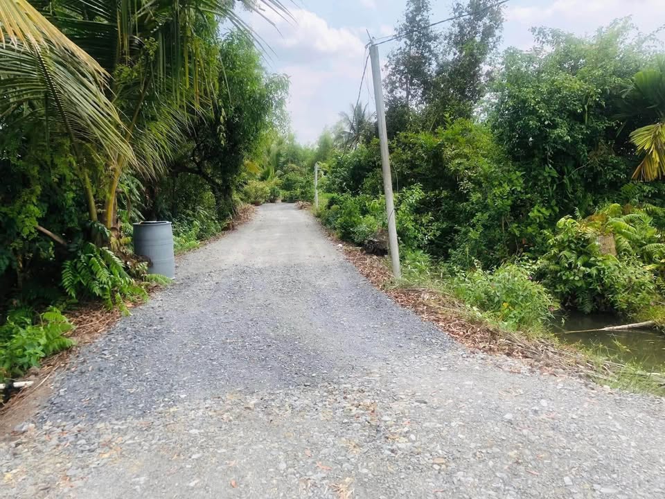 Đất nông nghiệp 6800m² tại xã Thạnh Lợi, Bến Lức, 4.7 tỷ - Đầu tư sinh lời ngay!