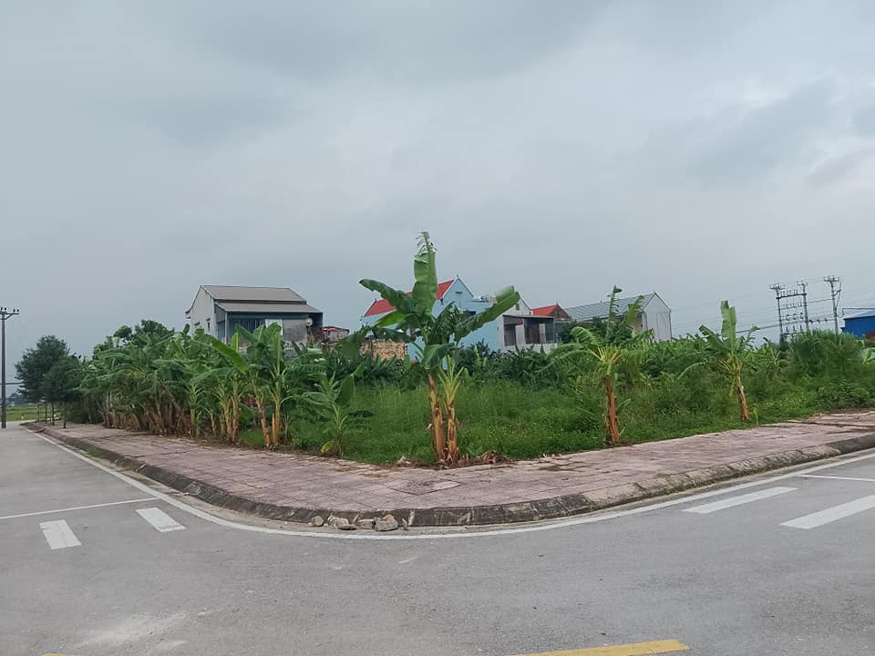 Đất nền Ecopark Tân Phong 160m² - Giá tốt thỏa thuận, phù hợp xây biệt thự!
