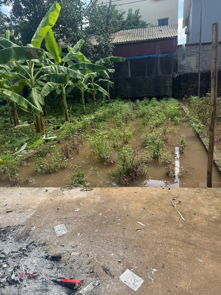 Đất nền xã Trung Châu, Đan Phượng 58.8m² - Giá đầu tư 2.35 tỷ hấp dẫn!