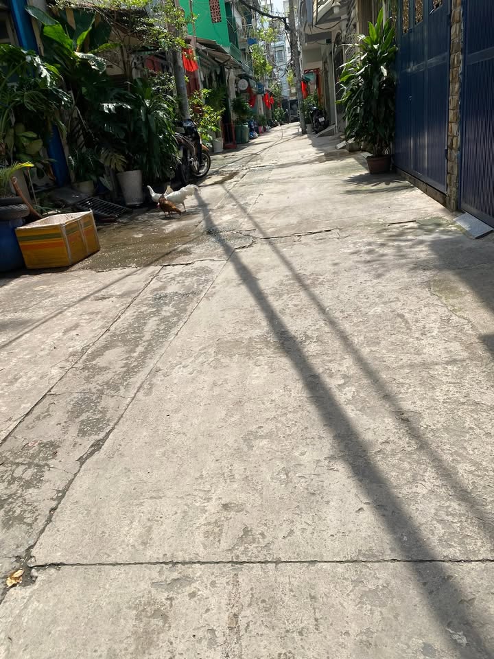 Nhà hẻm 4,5m đường Calmette, phường Nguyễn Thái Bình, Q.1 - Giá chỉ 10.2 tỷ!