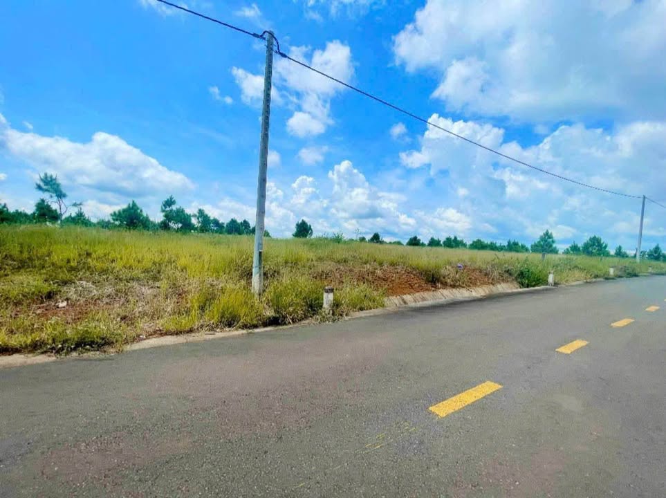 Đất nền dự án Bảo Lộc 758m² giá 60.64 tỷ - Cơ hội đầu tư tuyệt vời!