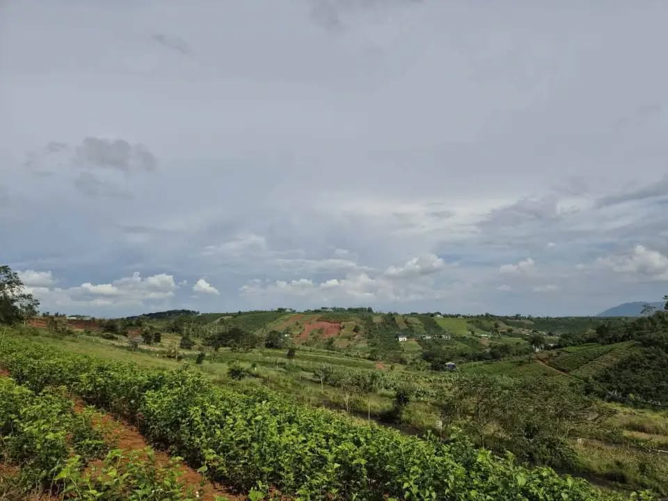 Đất nền Lộc Tân 102m² giá 475 triệu - Cơ hội đầu tư không thể bỏ lỡ!