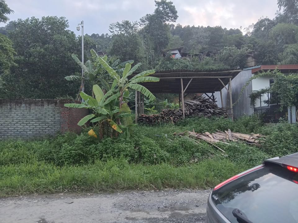 Đất thổ cư 250m² mặt đường chính tại xã Đồng Tuyển - Giá chỉ 2 tỷ