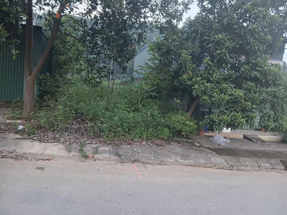 Đất nền đường Vũ Trọng Phụng, phường Duyên Hải 105m² giá 1.56 tỷ - Cơ hội đầu tư hấp dẫn!