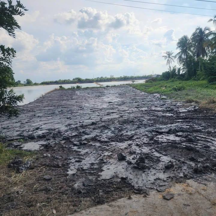 Đất vườn Giục Tượng, Châu Thành 12000m² - Cơ hội đầu tư tuyệt vời!