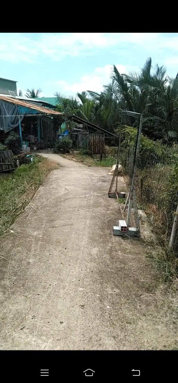 Đất thổ cư Long Hậu, Cần Giuộc 100m² giá 590 triệu - Mặt tiền đường bê tông, nền cao ráo!