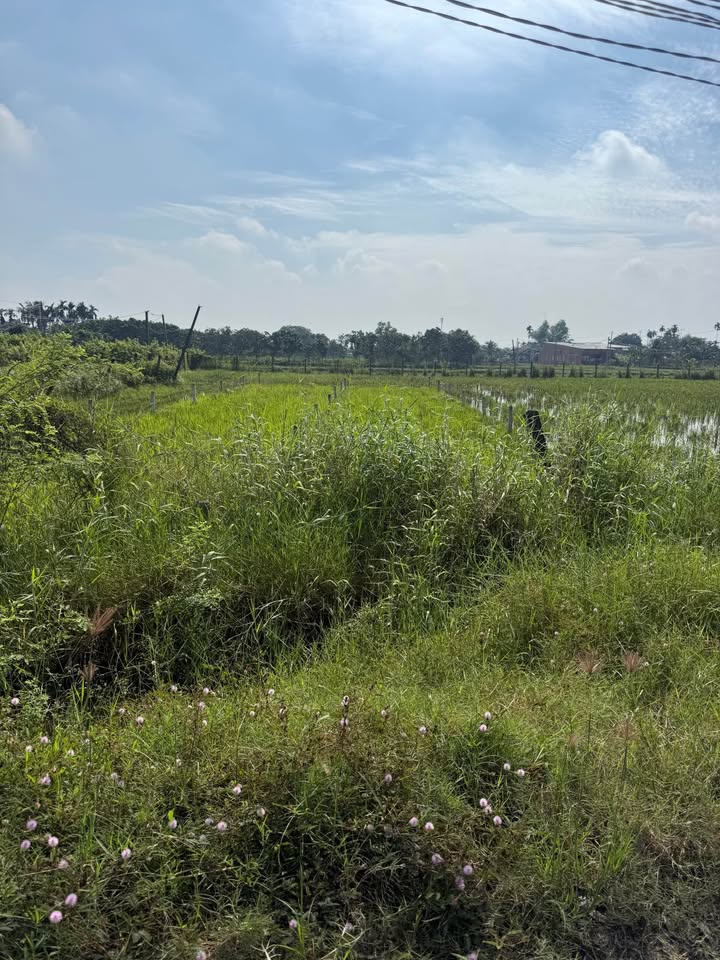 Đất nền 180m² xã Đức Hòa Thượng, Long An, giá 1.07 tỷ - Sổ hồng riêng, thổ cư 100%!