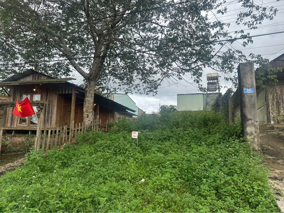 Đất nền Măng Đen 182m² giá thỏa thuận - Cơ hội đầu tư sinh lời bền vững!